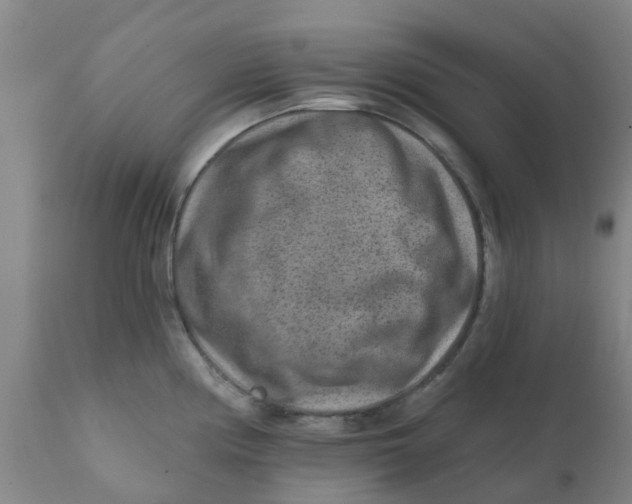 X0000111791194200908131405