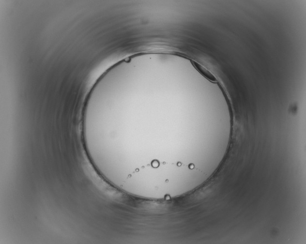 X0000111791195200908131405