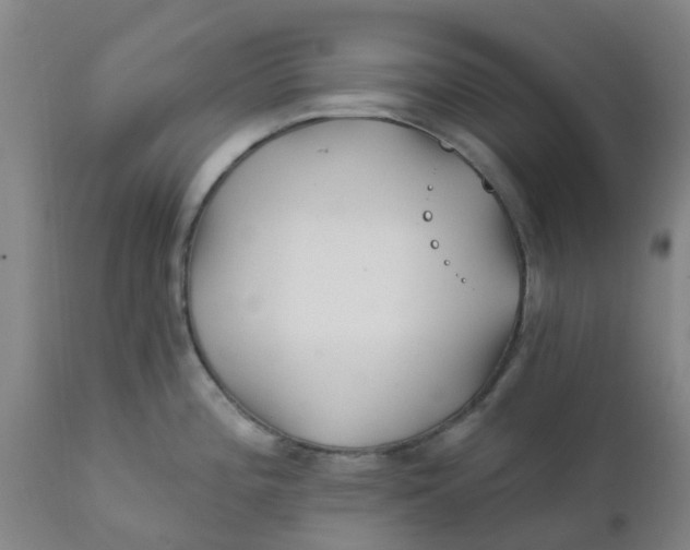 X0000111791196200908131405