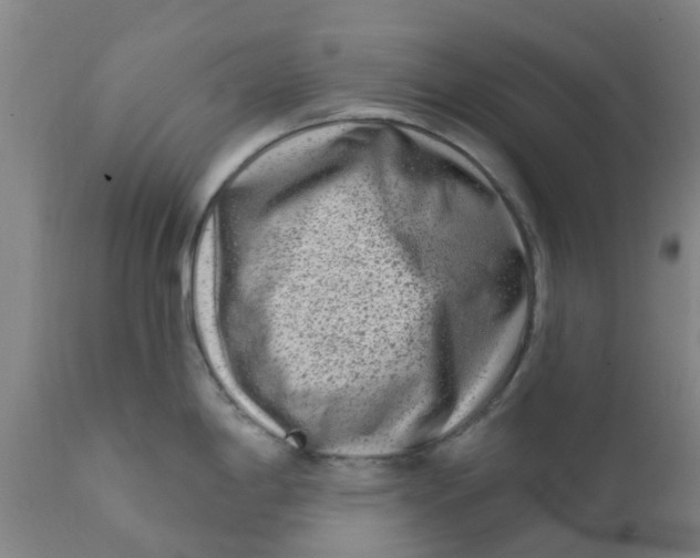 X0000111791198200908131405