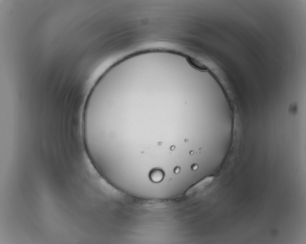 X0000111791199200908131405