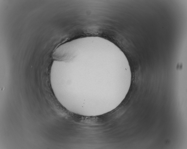 X0000111791201200908131404