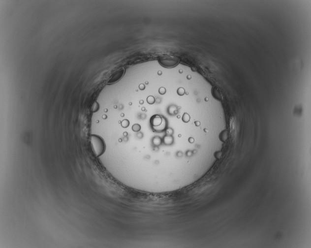 X0000111791203200908131404