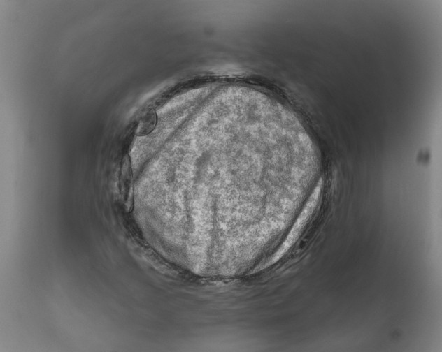 X0000111791205200908131404