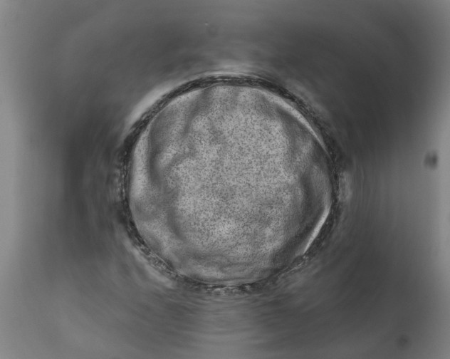 X0000111791208200908131404