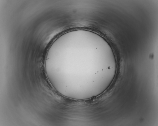 X0000111791210200908131404