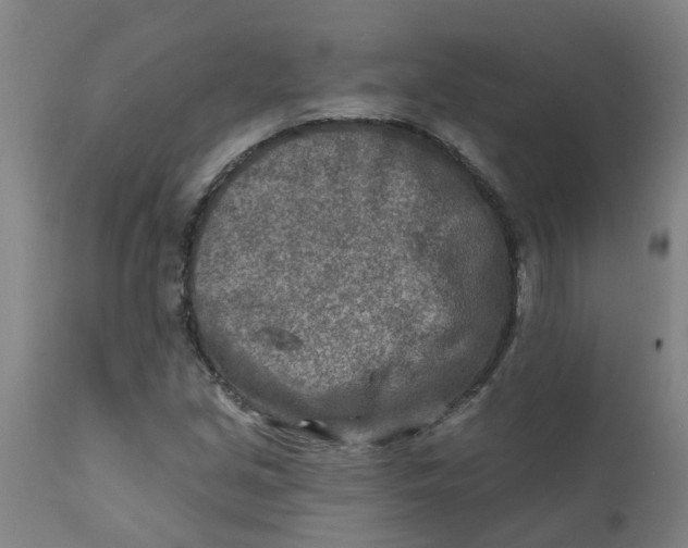 X0000111791213200908131404