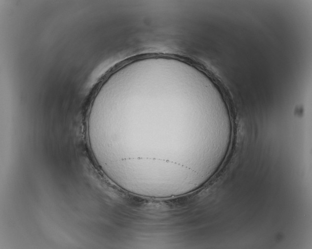 X0000111791215200908131404