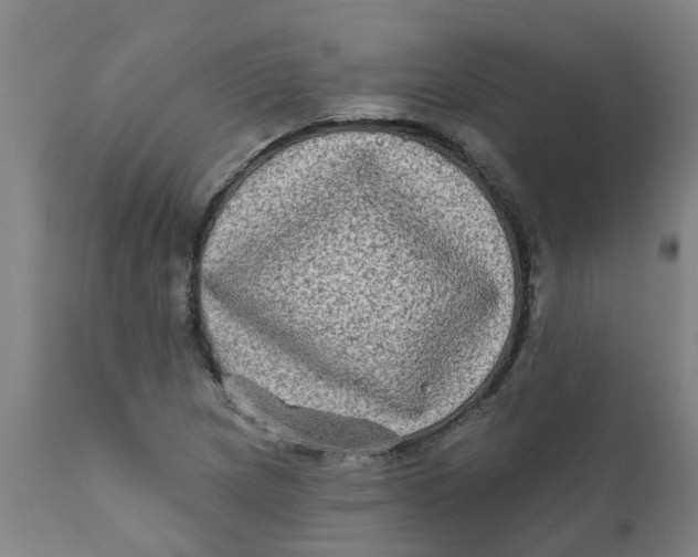 X0000111791217200908131404