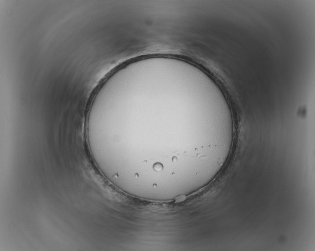 X0000111791220200908131404