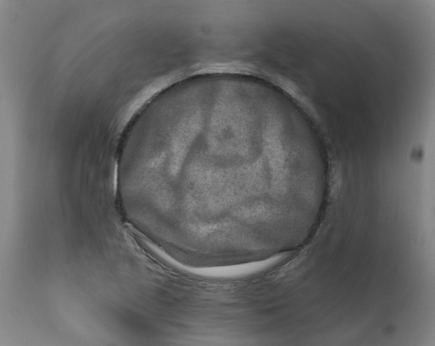 X0000111791221200908131404