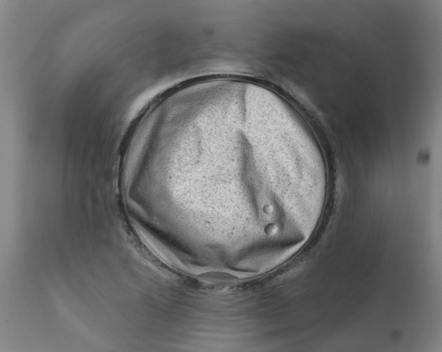 X0000111791222200908131404