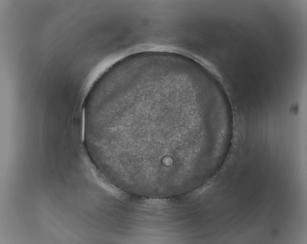 X0000111791223200908131404