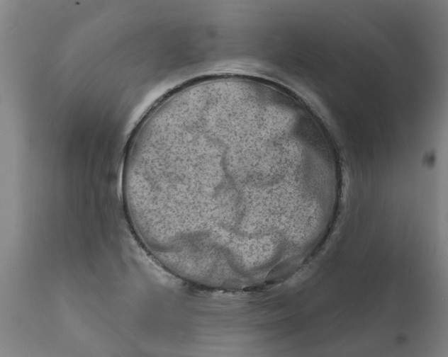 X0000111791224200908131404