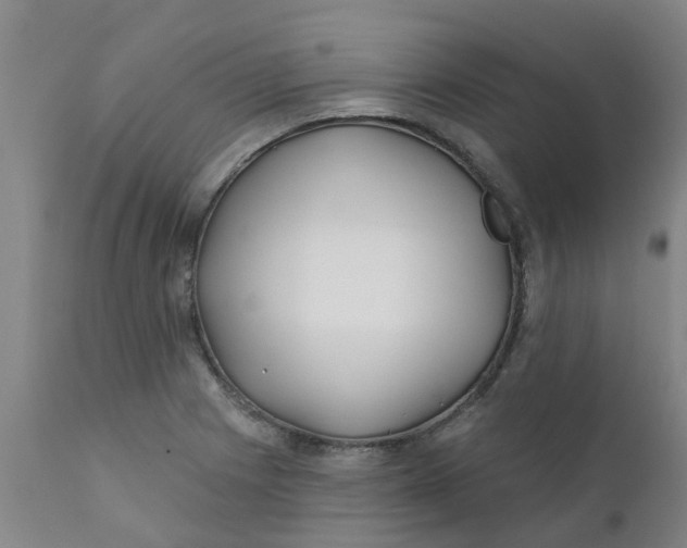 X0000111791225200908131404