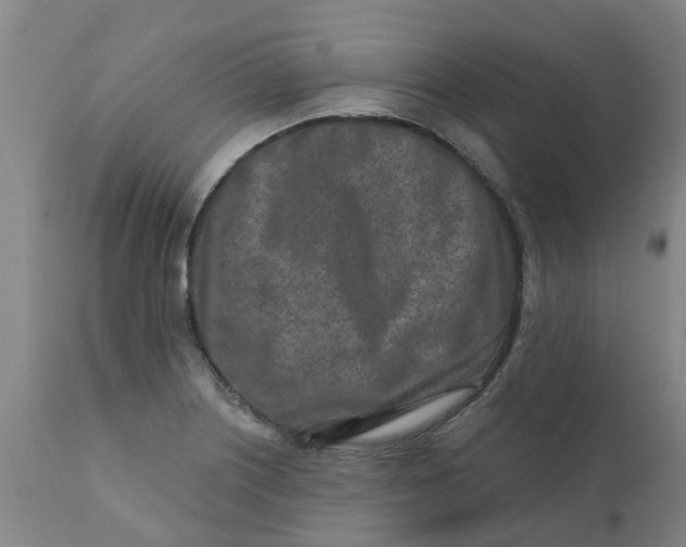 X0000111791226200908131404