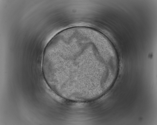 X0000111791228200908131404