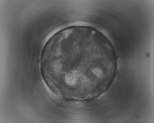 X0000111791229200908131404