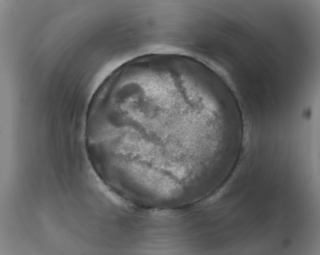 X0000111791231200908131404