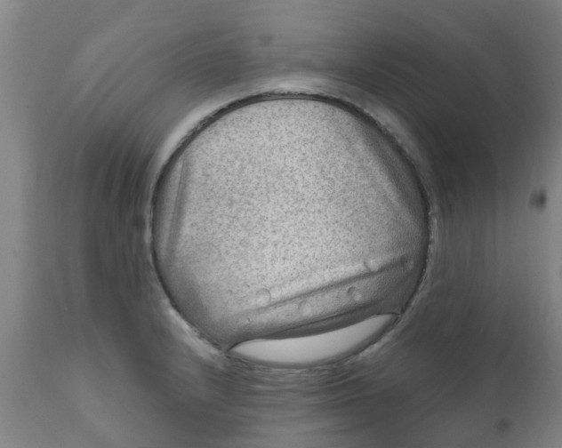 X0000111791232200908131404