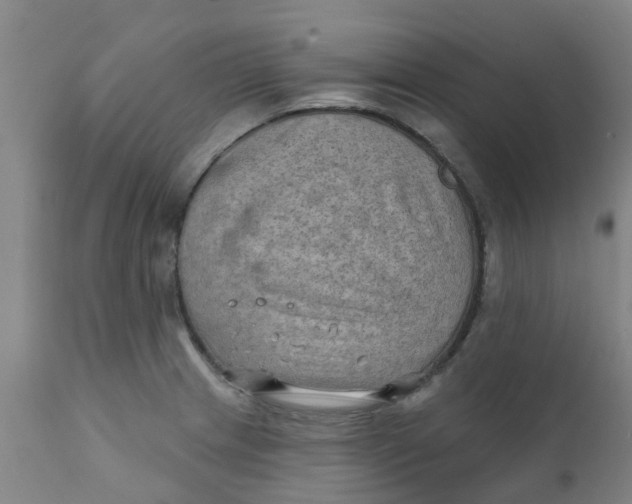 X0000111791233200908131404