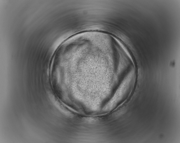 X0000111791234200908131404