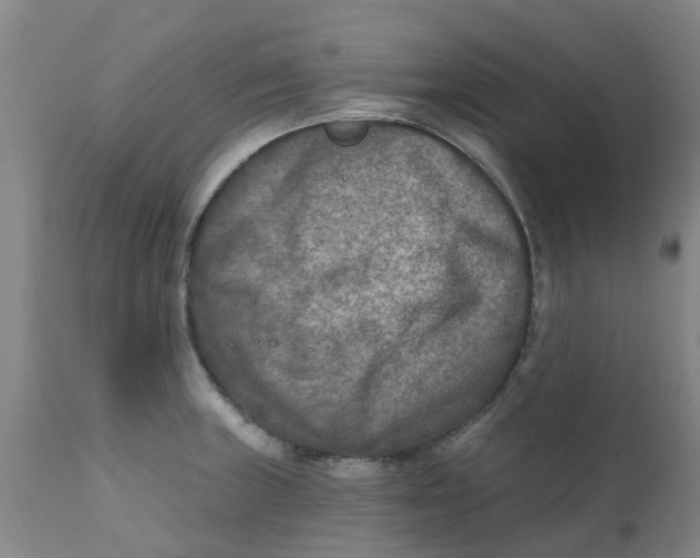 X0000111791235200908131404