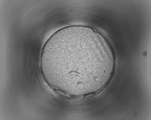 X0000111791236200908131404