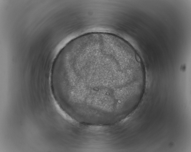 X0000111791237200908131404