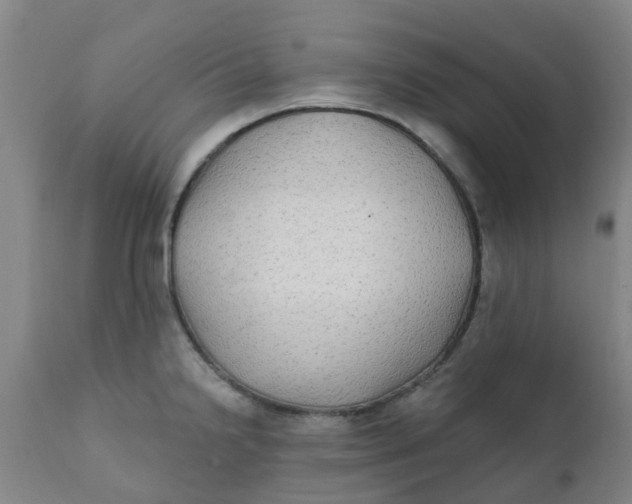 X0000111791238200908131404