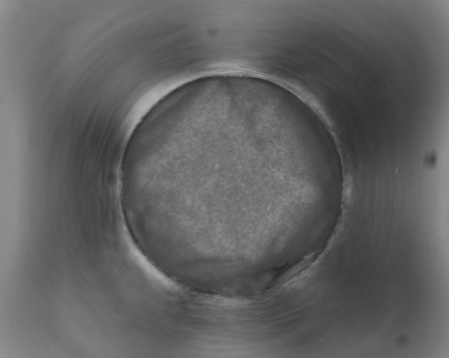 X0000111791239200908131404