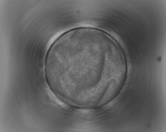 X0000111791240200908131404