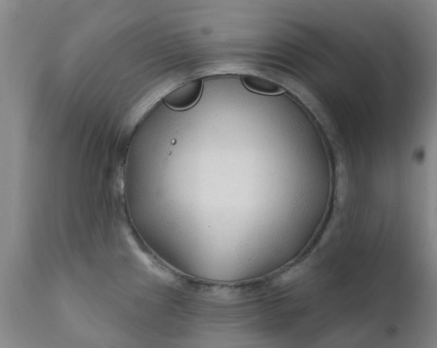 X0000111791241200908131404