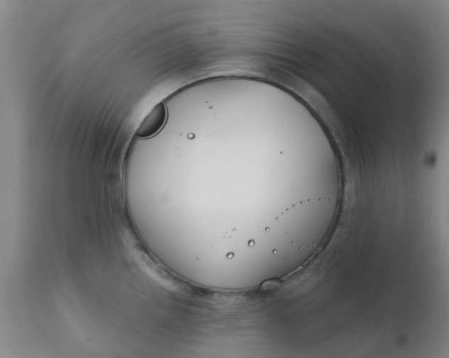 X0000111791242200908131404