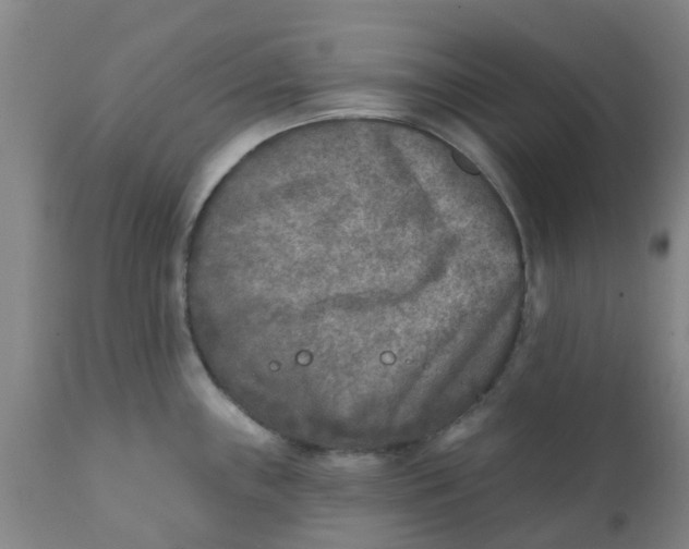 X0000111791243200908131404