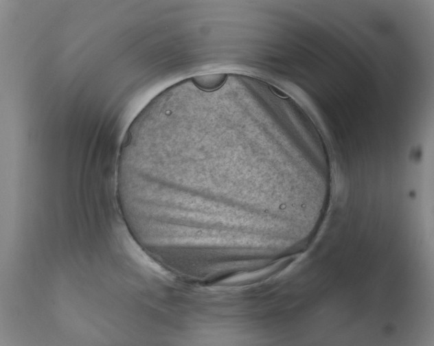 X0000111791244200908131405