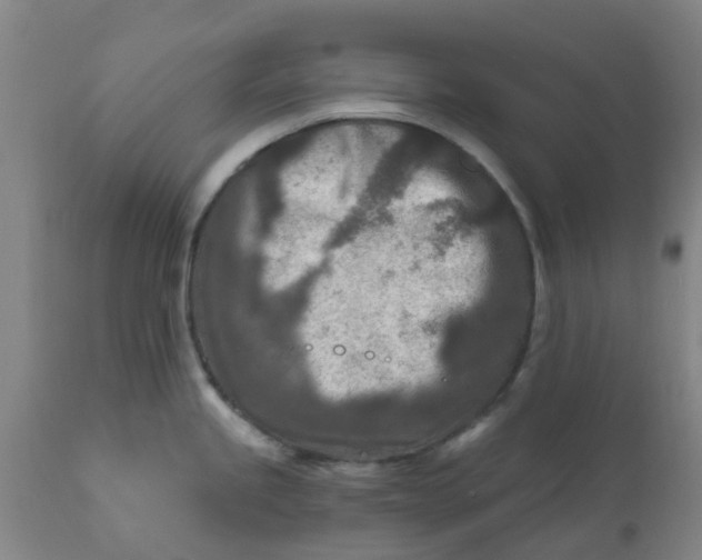 X0000111791245200908131405