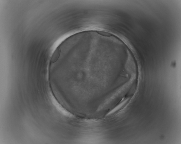 X0000111791246200908131405