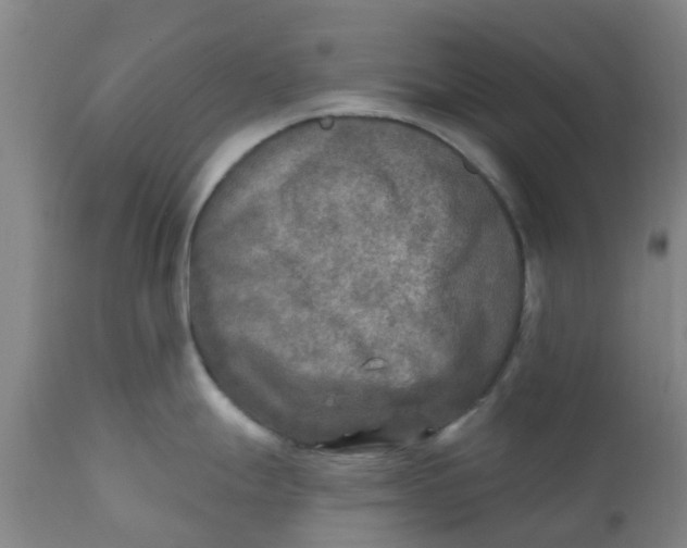 X0000111791247200908131405