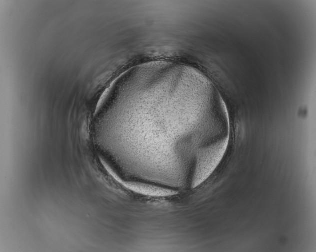 X0000111791250200908131404