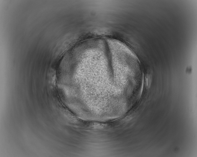 X0000111791251200908131404