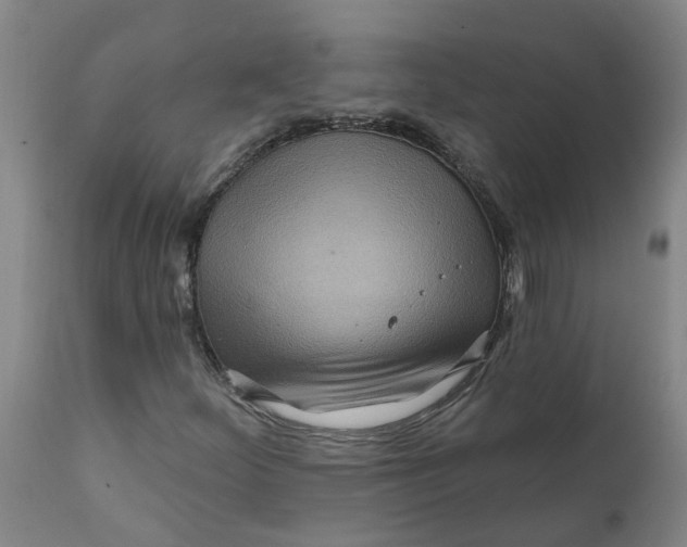 X0000111791252200908131404