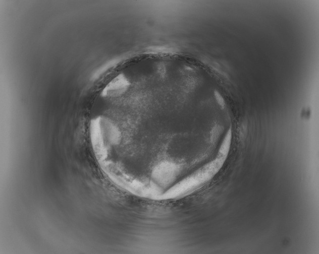 X0000111791254200908131404