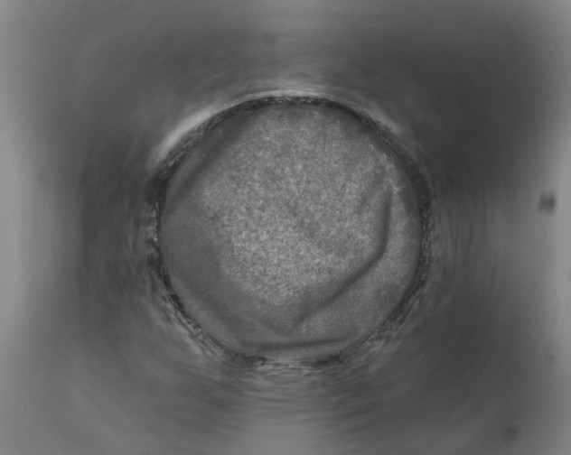 X0000111791255200908131404