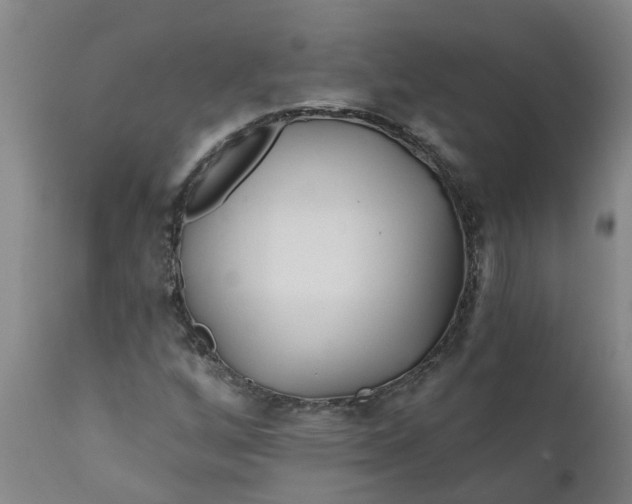 X0000111791256200908131404