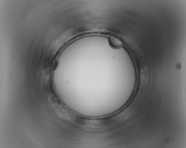 X0000111791257200908131404