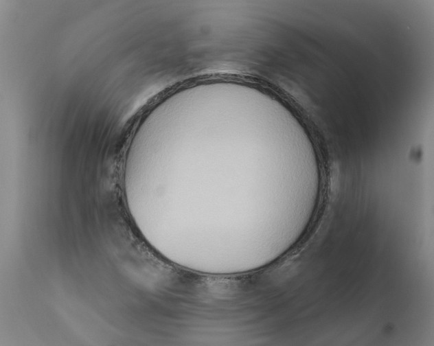 X0000111791258200908131404