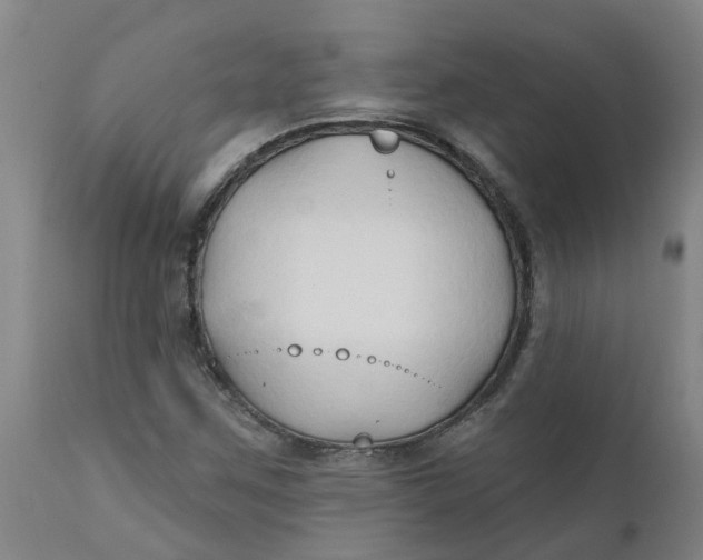 X0000111791259200908131404