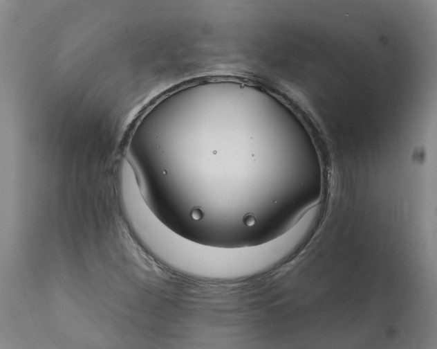 X0000111791260200908131404