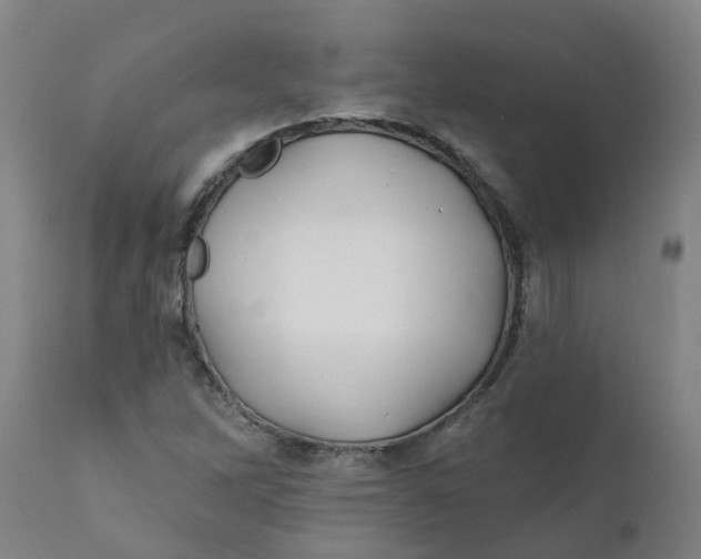 X0000111791262200908131404